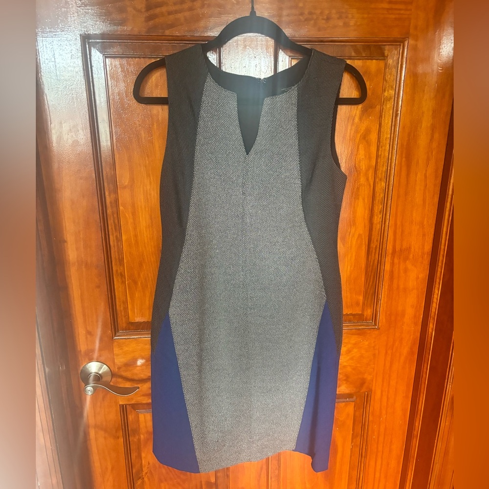 ann taylor • petite dress